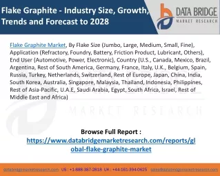 Flake Graphite Market