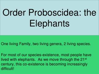 Order Proboscidea: the Elephants