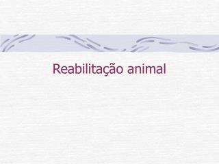 Reabilitação animal