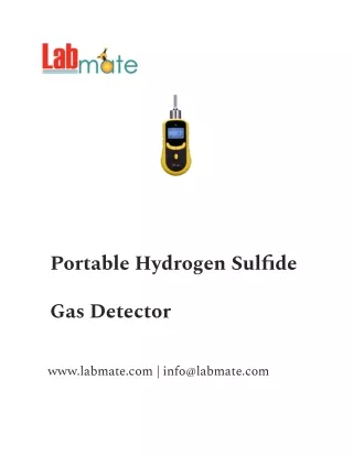 Portable Hydrogen Sulfide Gas Detector