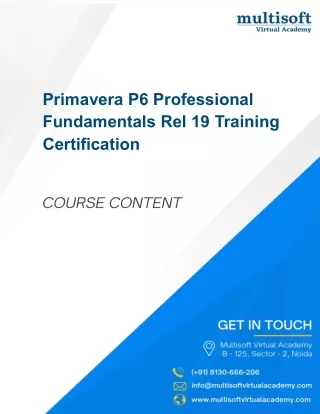Primavera P6 Professional Fundamentals Rel 19 Training Certification