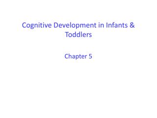 Cognitive Development in Infants &amp; Toddlers