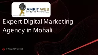 Expert Digital Marketing Agency in Mohali (2) (1)