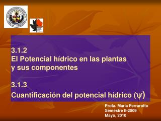 3.1.2 El Potencial hídrico en las plantas y sus componentes 3.1.3 Cuantificación del potencial hídrico ( )