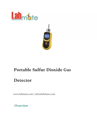 Portable Sulfur Dioxide Gas Detector