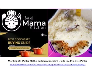 Warding Off Pantry Moths Bestmamakitchen's Guide to a Pest-Free Pantry