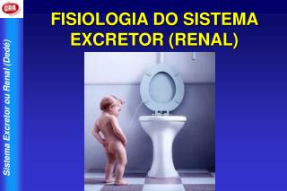 FISIOLOGIA DO SISTEMA EXCRETOR (RENAL)