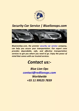 Security Car Service  Bluelionops.com