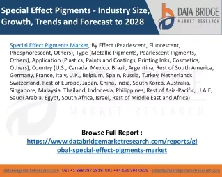 Special Effect Pigments Market