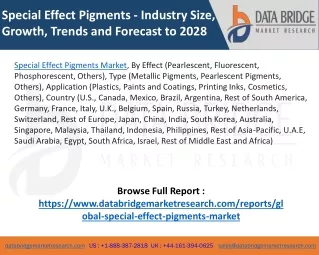 Special Effect Pigments Market