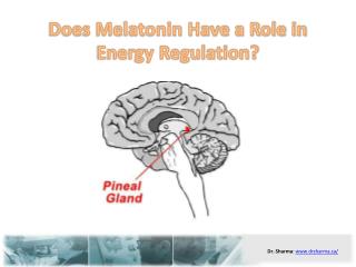 Does Melatonin Have a Role in Energy Regulation?