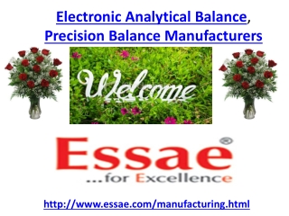 Electronic Analytical Balance, Precision Balance Manufacture
