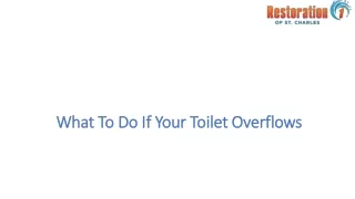 What To Do If Your Toilet Overflows?