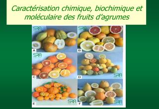 Caractérisation chimique, biochimique et moléculaire des fruits d’agrumes