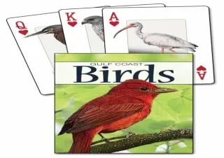 download⚡️[EBOOK]❤️ Birds of the Gulf Coast Playing Cards (Nature's Wild Cards)