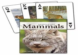 PDF✔️Download❤️ Mammals of the Northeast Playing Cards (Nature's Wild Cards)