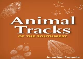 Download⚡️PDF❤️ Animal Tracks of the Southwest Playing Cards (Nature's Wild Cards)