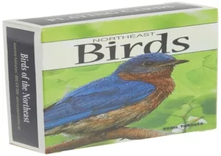 Download⚡️(PDF)❤️ Birds of the Northeast Playing Cards (Nature's Wild Cards)