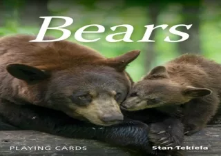 get✔️[PDF] Download⚡️ Bears Playing Cards (Nature's Wild Cards)