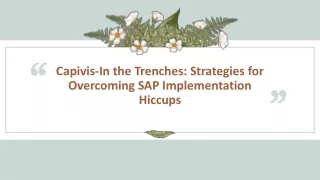 Capivis-In the Trenches: Strategies for Overcoming SAP Implementation Hiccups