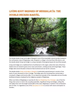 Living Root Bridges of Meghalaya