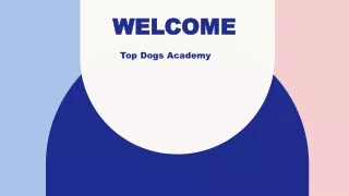 Best Dog daycare in Marine Parade