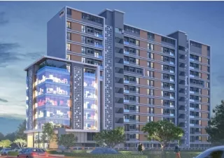 Vasant Infinia Wakad Pune PDF