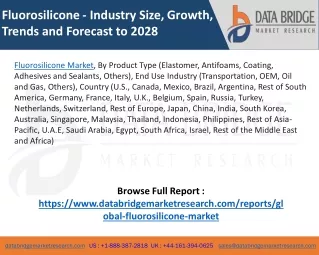 Fluorosilicone Market