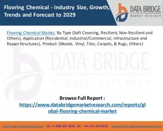 Flooring chemical Market