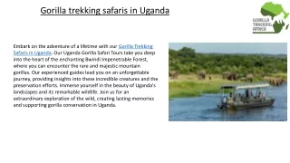 Gorilla trekking safaris in Uganda