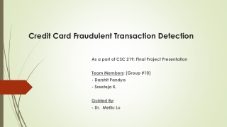 Credit Card Fraudulent Transaction Detection