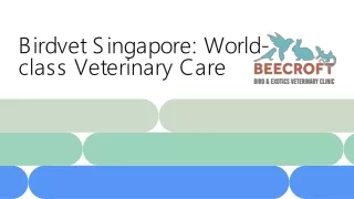 Bird and Exotics pet, Mammals veterinary specialist Clinic Singapore