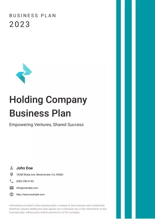 holding company business plan