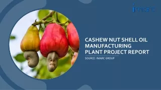 Report On Cashew Nut Shell Oil Setup Cost, Manufacturing And Machinery PPT