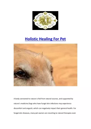 Holistic Healing For Pet