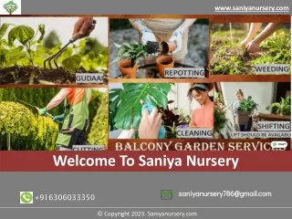 Online Plant Nursery In Bangalore