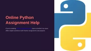 Online Python Assignment Help