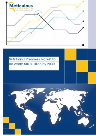 Nutritional Premixes Market