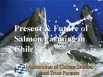Present Future of Salmon Farming in Chile