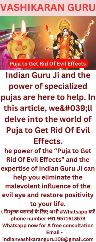 Puja to Get Rid Of Evil Effects – Indian Guru ji (1)