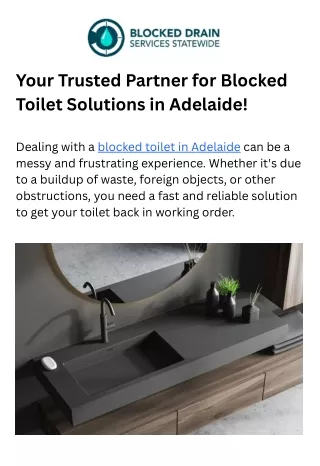 Your Trusted Partner for Blocked Toilet Solutions in Adelaide! (1)