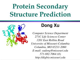 Protein Secondary Structure Prediction