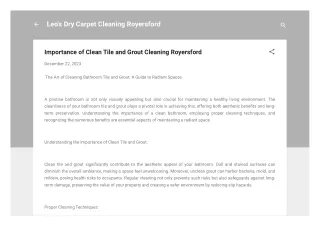 Leo's Dry Carpet Cleaning - Royersford Carpet Cleaner