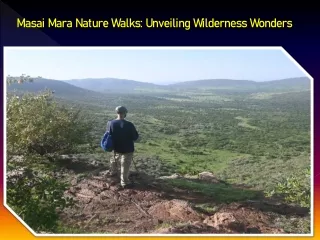 Masai Mara Nature Walks Unveiling Wilderness Wonders