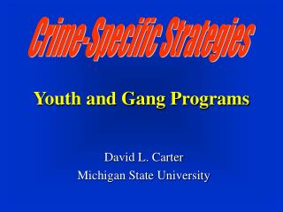 Youth and Gang Programs
