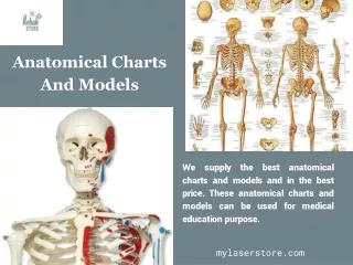 Anatomical Charts And Models