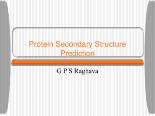 Protein Secondary Structure Prediction