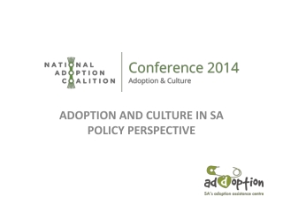 ADOPTION AND CULTURE IN SA POLICY PERSPECTIVE