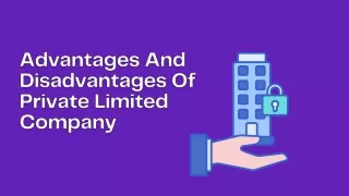 Advantages And Disadvantages Of Private Limited Company