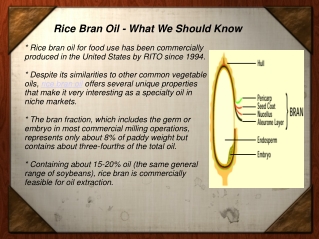 Rice Bran Oil - What We Should Know